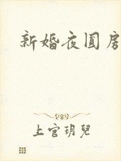 新婚夜圆房