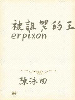 被诅咒的王子derpixon