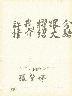 许我耀眼分集剧情介绍大结局