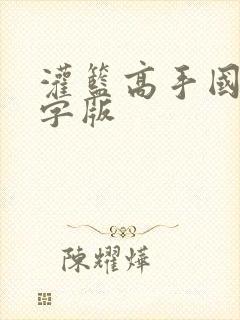 灌篮高手国语中字版