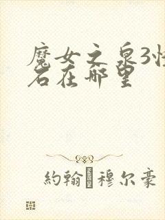 魔女之泉3怪力石在哪里