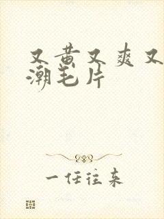 又黄又爽又大高潮毛片