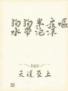 狗狗半夜呕吐黄水带泡沫