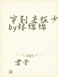 穿到老板少年时by林绵绵