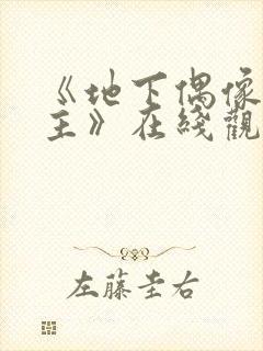 《地下偶像双男主》在线观看