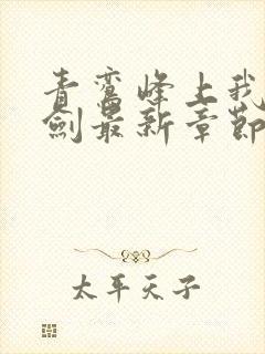 青鸾峰上我有一剑最新章节