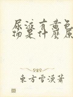 尿液有黄色沉淀物是什么原因引起的