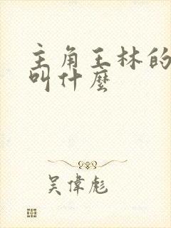 主角王林的小说叫什么