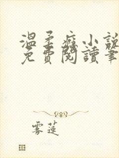 温柔瘾小说全文免费阅读笔趣阁