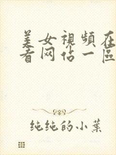 美女视频在线观看网站一区