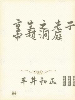 重生之老子是皇帝赵洞庭封面