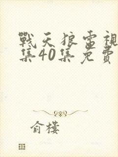 战天狼电视剧全集40集免费观看