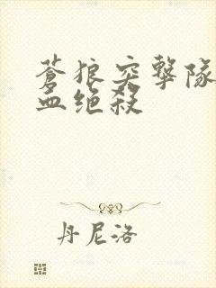 苍狼突击队之浴血绝杀