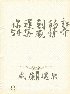 你迟到的许多年54集剧情介绍