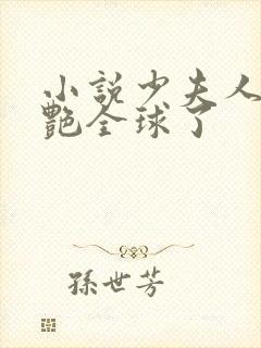 小说少夫人她惊艳全球了封面