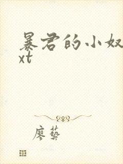 暴君的小奴妻txt封面