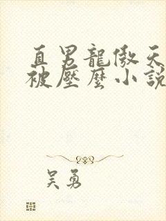 直男龙傲天也要被压么小说免费阅读