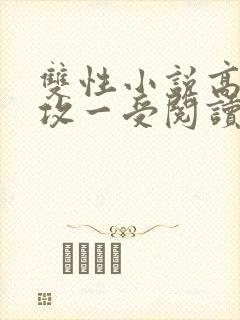 双性小说高h多攻一受阅读