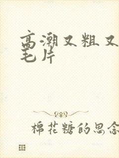 高潮又粗又爽的毛片封面