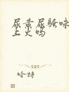 尿黄尿骚味重是上火吗