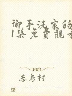 御手洗家的破洞1集免费观看在线