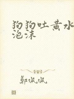 狗狗吐黄水带点泡沫