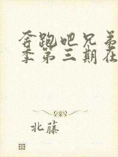 奔跑吧兄弟第五季第三期在线观看