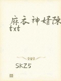 麻衣神婿陈黄皮txt封面