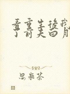 看重生后我顶替了前夫白月光封面