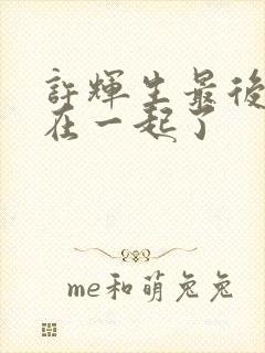 许辉生最后和谁在一起了