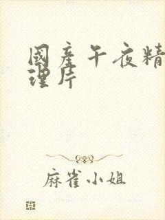 国产午夜精品论理片