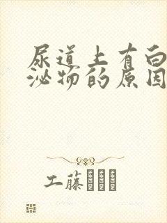 尿道上有白色分泌物的原因封面