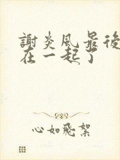 谢炎风最后和谁在一起了