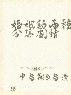 婚姻的两种猜想分集剧情