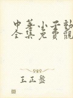 中华小子动画片全集免费观看高清