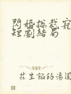 闪婚总裁宠上天短剧结局封面