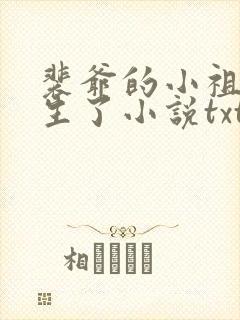 裴爷的小祖宗重生了小说txt