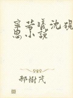 宁若曦沈砚舟黎思小说