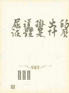 尿道排出的透明液体是什么