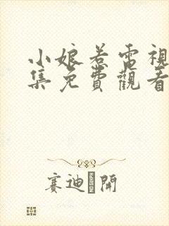 小娘惹电视剧全集免费观看完整版