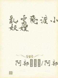 乱云飞渡小说之姣嫂封面