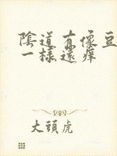 阴道有像豆腐渣一样还痒封面