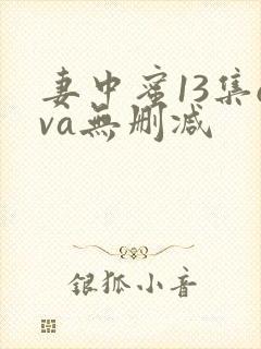 妻中蜜13集ova无删减
