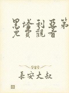 黑塔利亚第一季免费观看