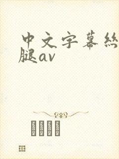 中文字幕丝袜美腿av