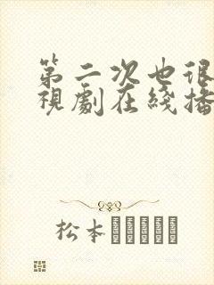 第二次也很美电视剧在线播放