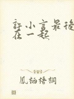 许小言最后和谁在一起