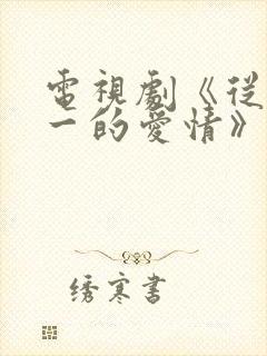 电视剧《从零到一的爱情》封面