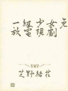一级少女免费播放电视剧
