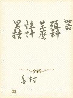 男性生殖器长包挂什么科